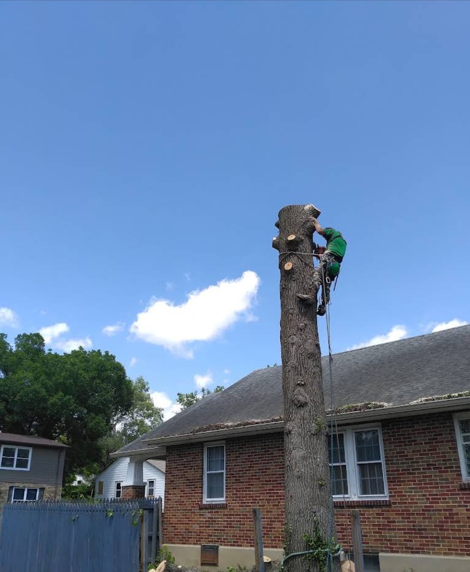 Full removal and haul-off