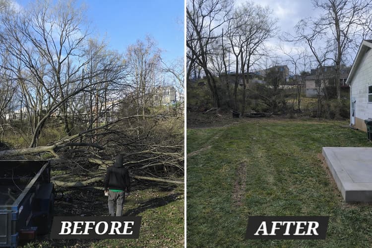 Before and after lot clearing and debris removal
