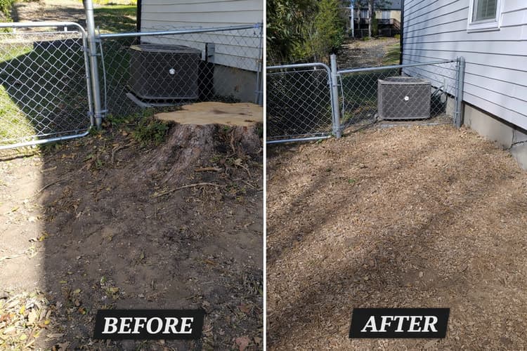 Before and after yard cleanup and brush clearing